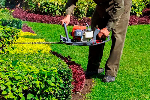 img-jardineria-03