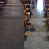 Decapado y vitrificado de pisos m2 - Imagen 3